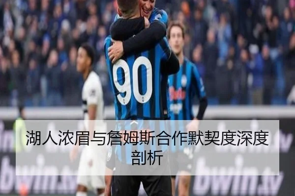 湖人浓眉与詹姆斯合作默契度深度剖析（Yamei）