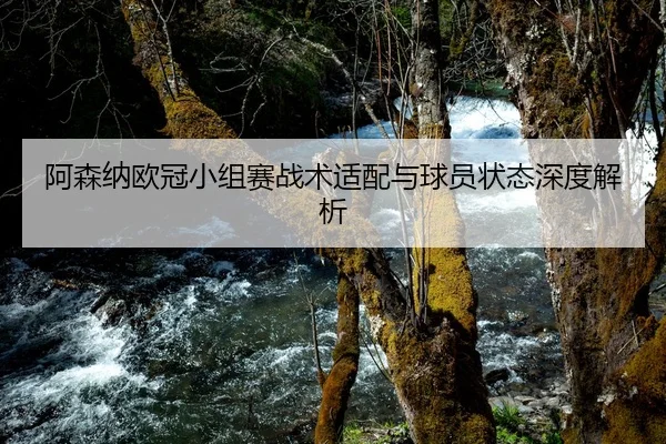 阿森纳欧冠小组赛战术适配与球员状态深度解析